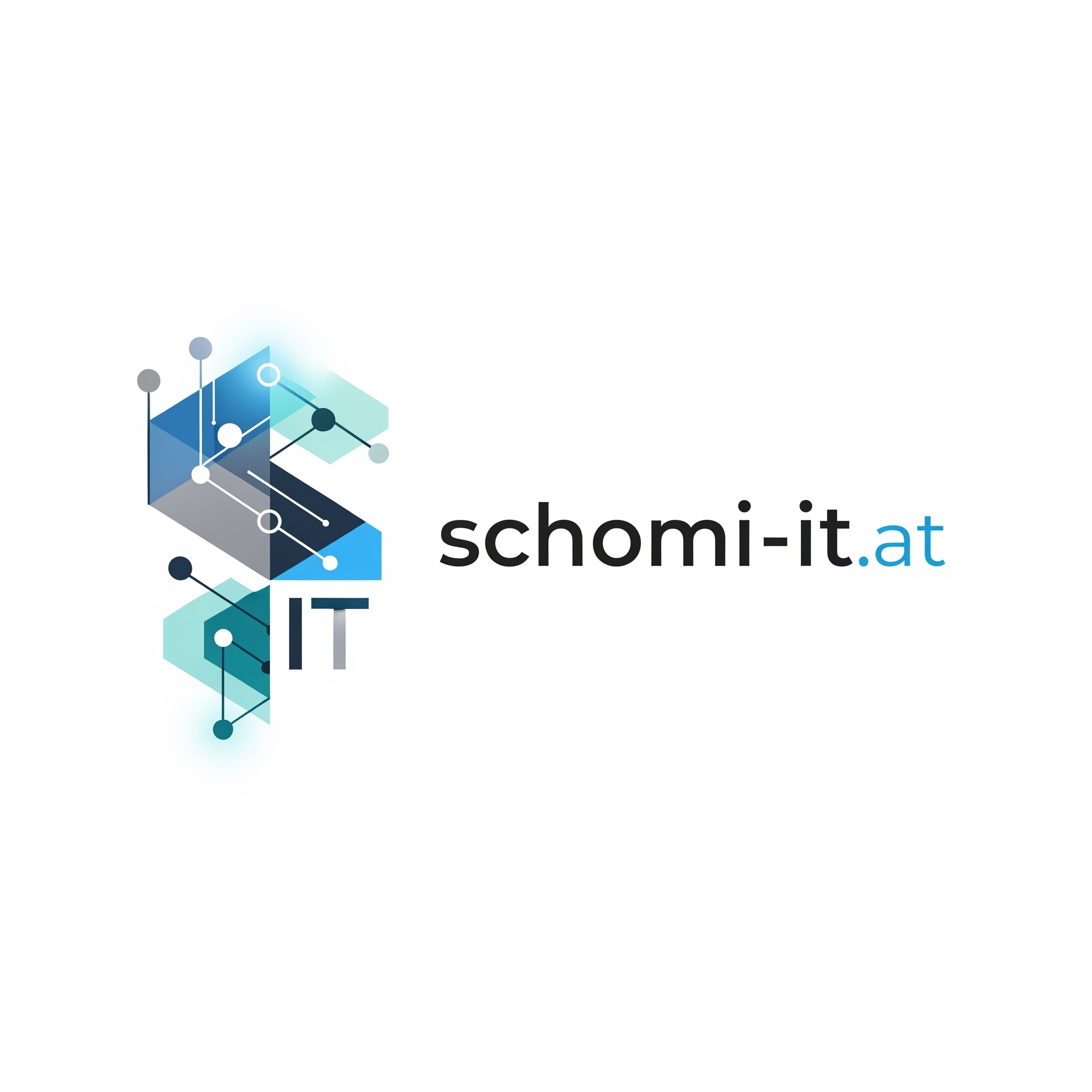 Michael Schoner Logo